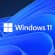 Microsoft-Windows-11-Logo-Square